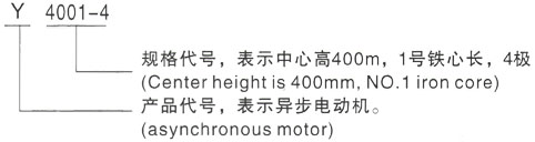 西安泰富西玛Y系列(H355-1000)高压余杭三相异步电机型号说明