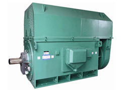余杭Y系列6KV高压电机品质保证